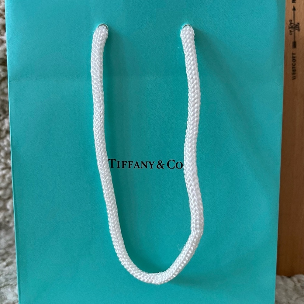 Authentic Tiffany Shopping Bsg